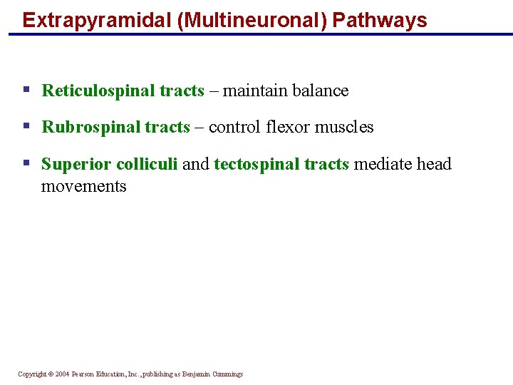 Extrapyramidal (Multineuronal) Pathways § Reticulospinal tracts – maintain balance § Rubrospinal tracts – control
