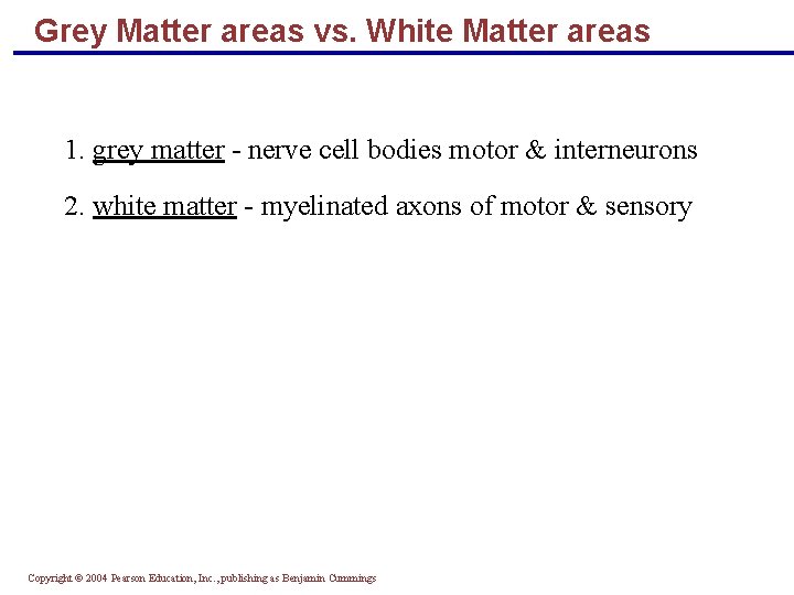 Grey Matter areas vs. White Matter areas 1. grey matter - nerve cell bodies