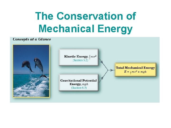 The Conservation of Mechanical Energy 