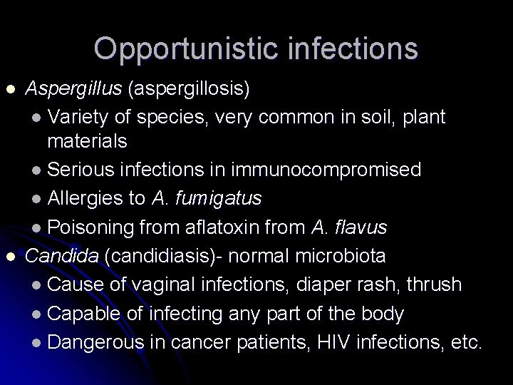 Opportunistic infections l l Aspergillus (aspergillosis) l Variety of species, very common in soil,