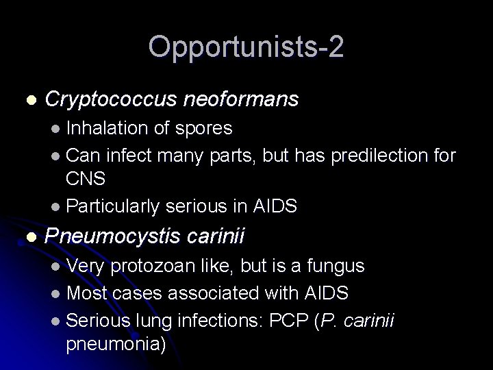 Opportunists-2 l Cryptococcus neoformans l Inhalation of spores l Can infect many parts, but