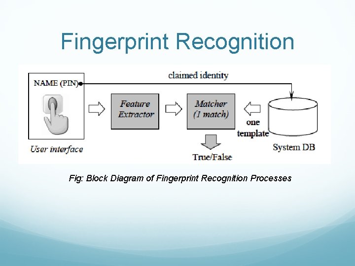 Fingerprint Recognition Fig: Block Diagram of Fingerprint Recognition Processes 