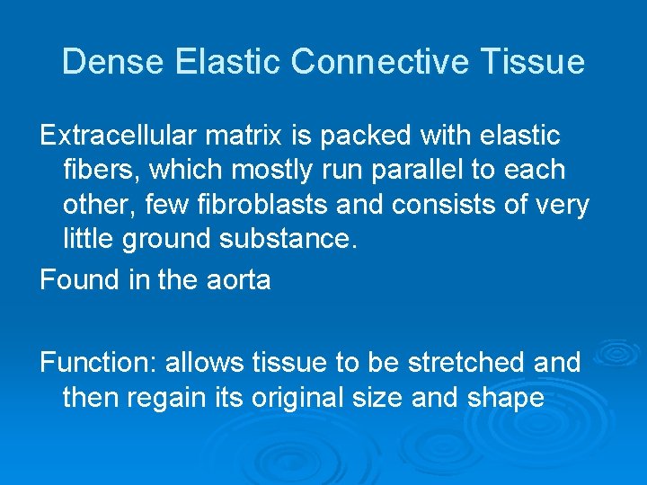 Dense Elastic Connective Tissue Extracellular matrix is packed with elastic fibers, which mostly run