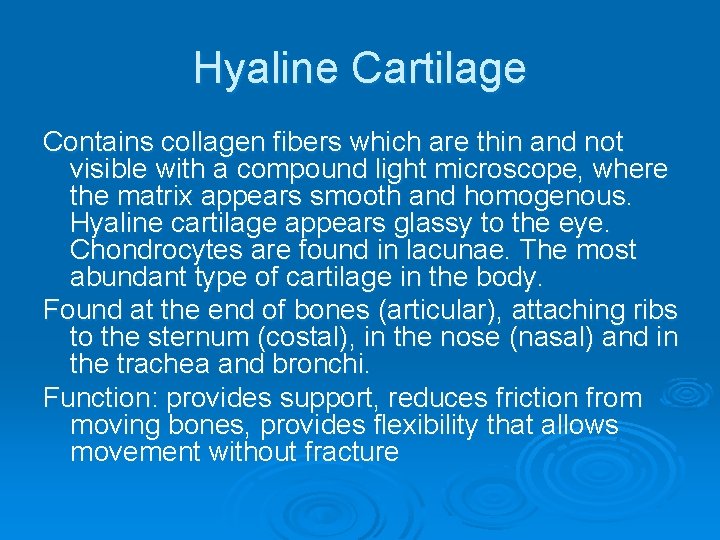 Hyaline Cartilage Contains collagen fibers which are thin and not visible with a compound