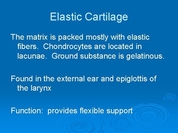 Elastic Cartilage The matrix is packed mostly with elastic fibers. Chondrocytes are located in