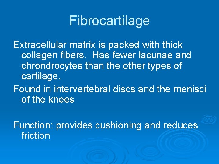 Fibrocartilage Extracellular matrix is packed with thick collagen fibers. Has fewer lacunae and chrondrocytes Fibrocartilage Extracellular matrix is packed with thick collagen fibers. Has fewer lacunae and chrondrocytes