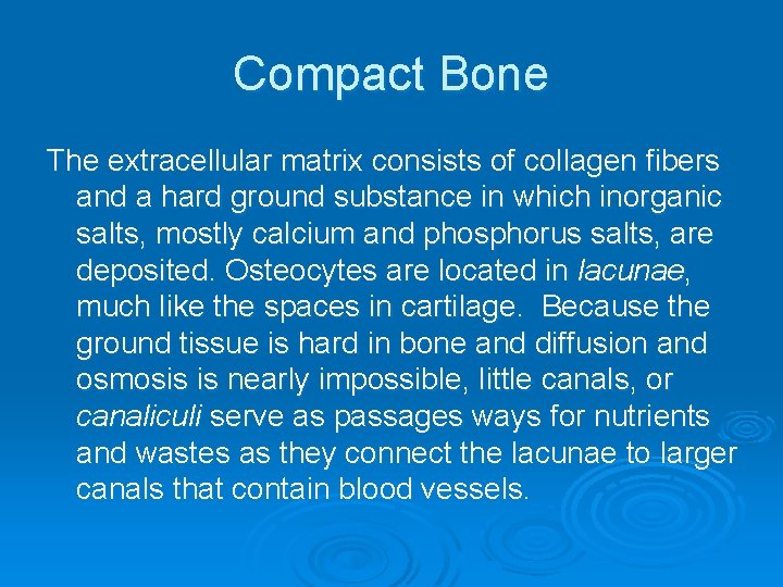 Compact Bone The extracellular matrix consists of collagen fibers and a hard ground substance