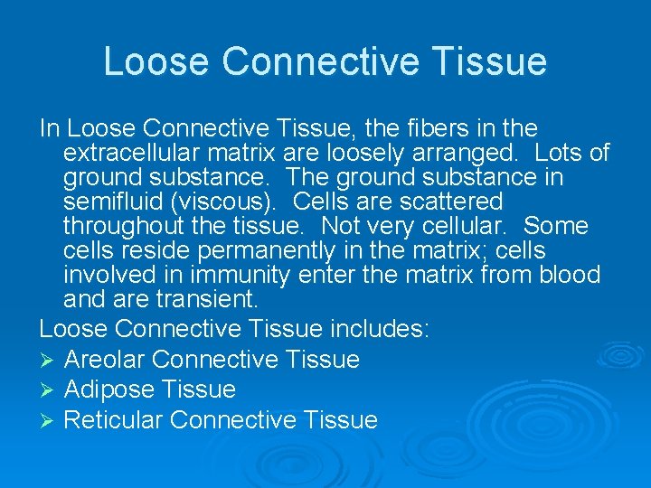 Loose Connective Tissue In Loose Connective Tissue, the fibers in the extracellular matrix are