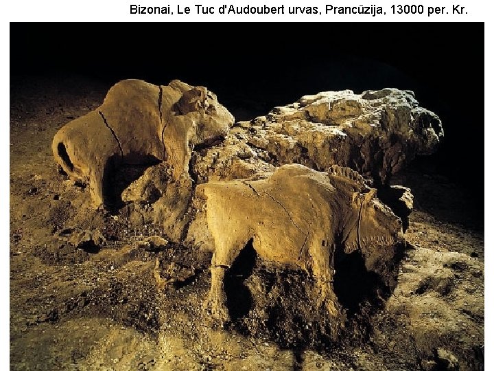  Bizonai, Le Tuc d'Audoubert urvas, Prancūzija, 13000 per. Kr. 2013 -10 -04 