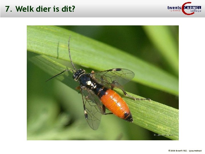7. Welk dier is dit? © 2009 Biosoft TCC - Lyceumstraat 