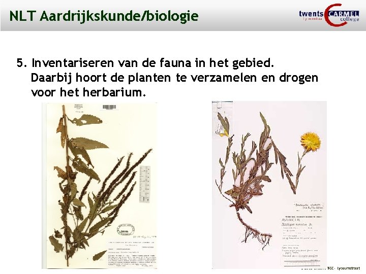 NLT Aardrijkskunde/biologie 5. Inventariseren van de fauna in het gebied. Daarbij hoort de planten