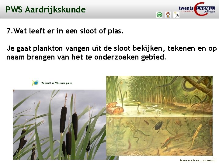 PWS Aardrijkskunde 7. Wat leeft er in een sloot of plas. Je gaat plankton