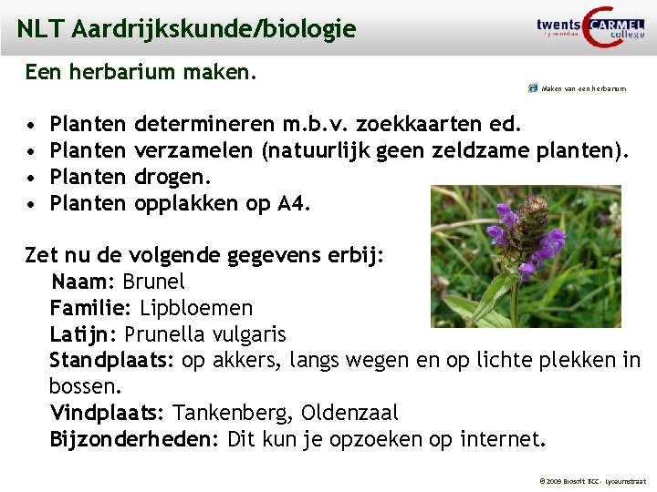 NLT Aardrijkskunde/biologie Een herbarium maken. Maken van een herbarium • • Planten determineren m.