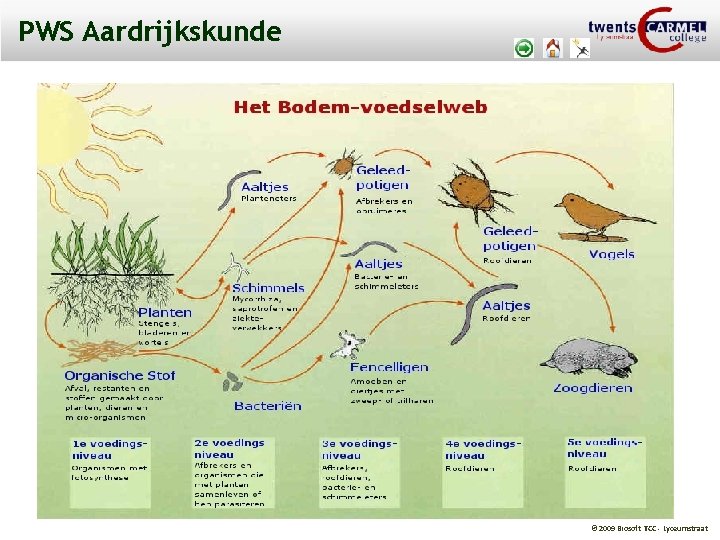 PWS Aardrijkskunde © 2009 Biosoft TCC - Lyceumstraat 