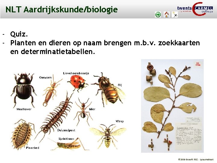 NLT Aardrijkskunde/biologie - Quiz. - Planten en dieren op naam brengen m. b. v.