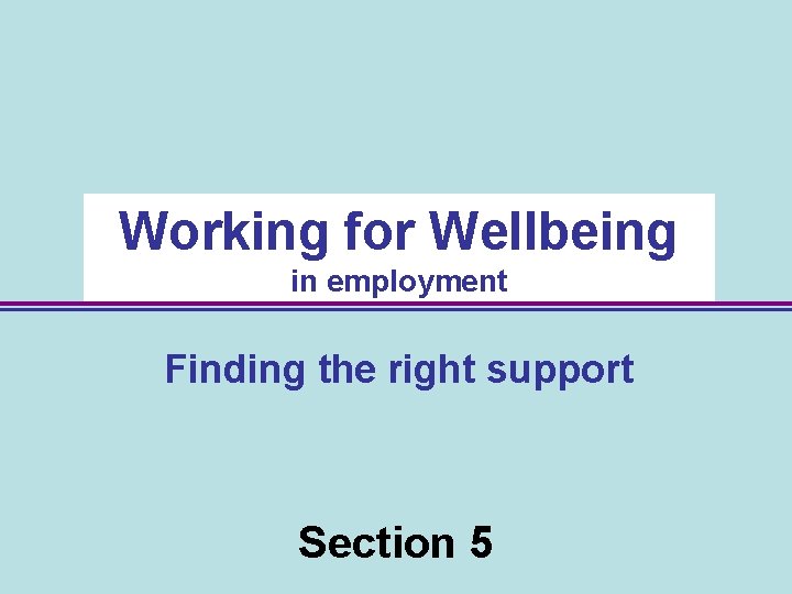 Working for Wellbeing in employment Finding the right support Section 5 40 