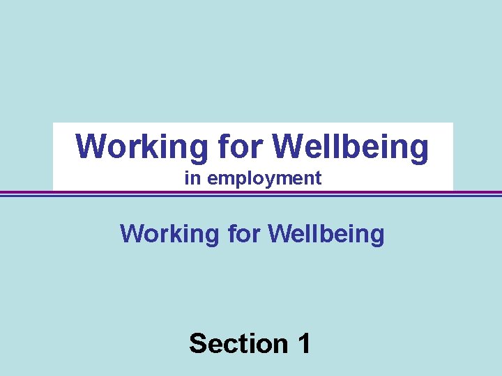 Working for Wellbeing in employment Working for Wellbeing Section 1 5 