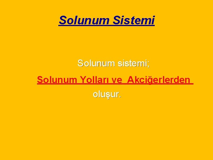 Solunum Sistemi Solunum sistemi; Solunum Yolları ve Akciğerlerden oluşur. 