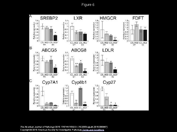 Figure 6 The American Journal of Pathology 2010 176744 -753 DOI: (10. 2353/ajpath. 2010.