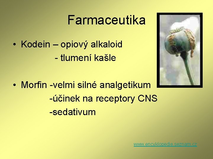 Farmaceutika • Kodein – opiový alkaloid - tlumení kašle • Morfin -velmi silné analgetikum Farmaceutika • Kodein – opiový alkaloid - tlumení kašle • Morfin -velmi silné analgetikum