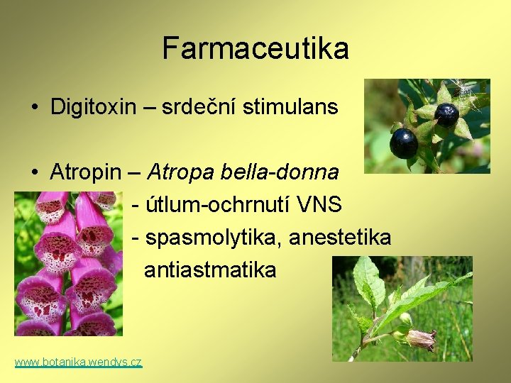 Farmaceutika • Digitoxin – srdeční stimulans • Atropin – Atropa bella-donna - útlum-ochrnutí VNS Farmaceutika • Digitoxin – srdeční stimulans • Atropin – Atropa bella-donna - útlum-ochrnutí VNS