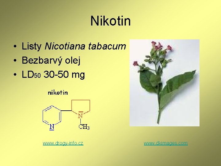 Nikotin • Listy Nicotiana tabacum • Bezbarvý olej • LD 50 30 -50 mg Nikotin • Listy Nicotiana tabacum • Bezbarvý olej • LD 50 30 -50 mg
