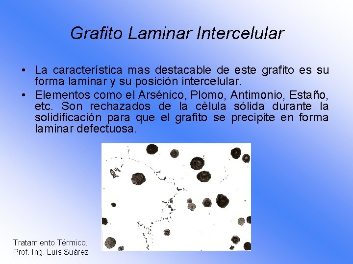 Grafito Laminar Intercelular • La característica mas destacable de este grafito es su forma