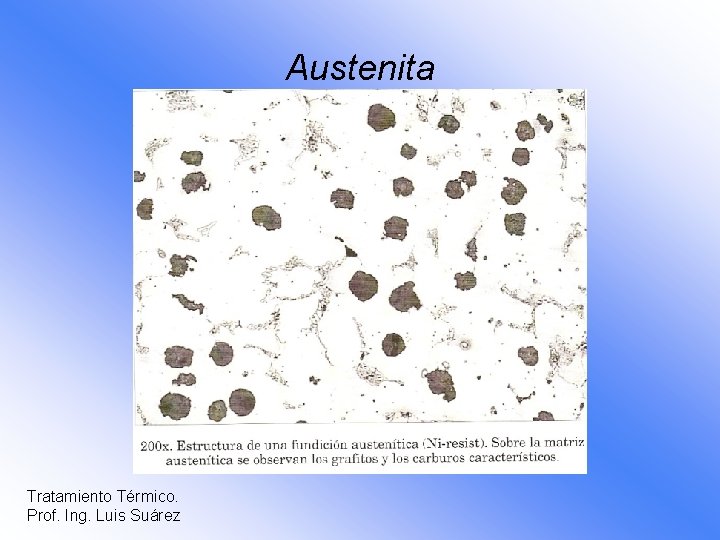 Austenita Tratamiento Térmico. Prof. Ing. Luis Suárez 