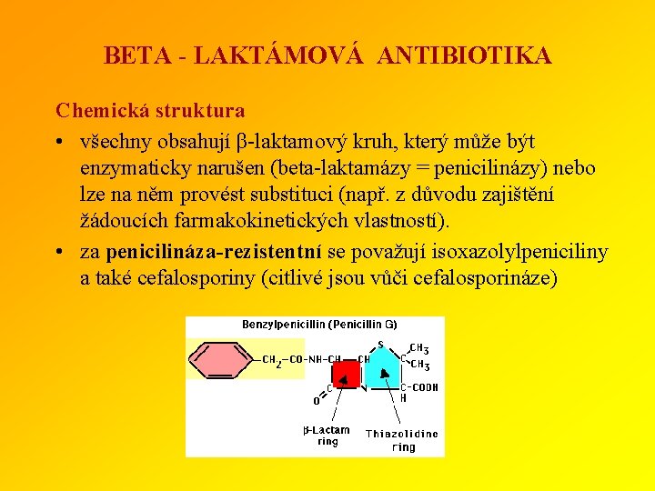 BETA - LAKTÁMOVÁ ANTIBIOTIKA Chemická struktura • všechny obsahují β-laktamový kruh, který může být