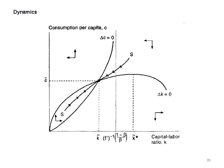  Dynamics 20 