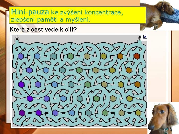 Mini-pauza ke zvýšení koncentrace, zlepšení paměti a myšlení. Které z cest vede k cíli?