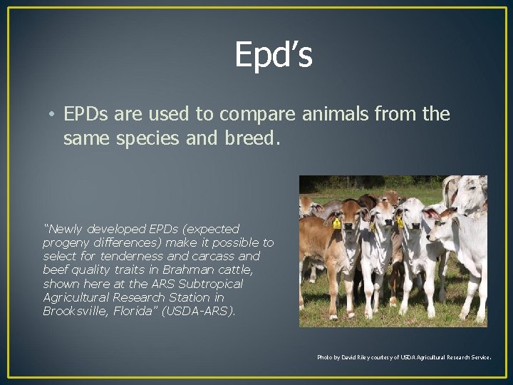 Epd’s • EPDs are used to compare animals from the same species and breed.