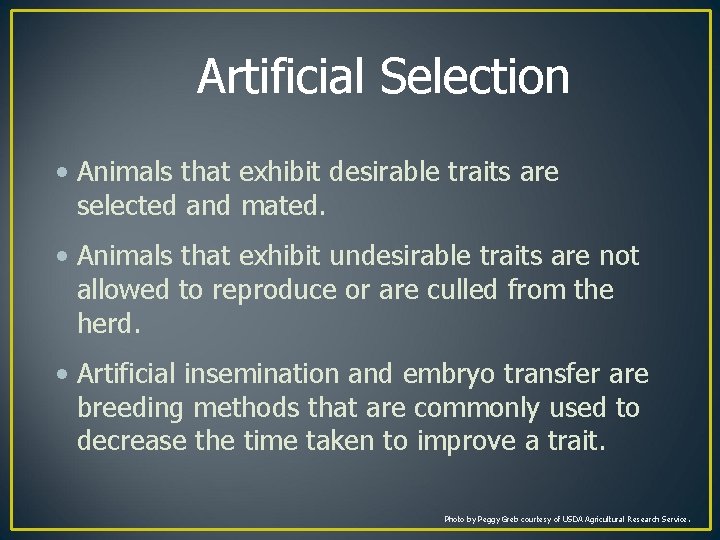 Artificial Selection • Animals that exhibit desirable traits are selected and mated. • Animals