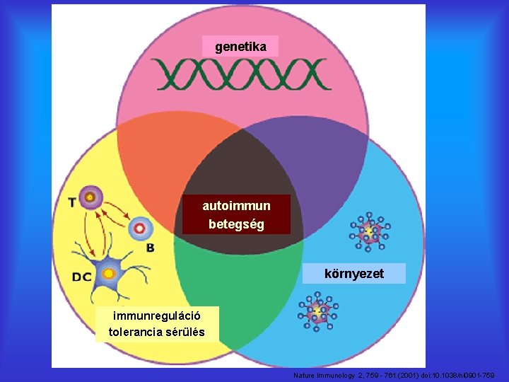 genetika autoimmun betegség környezet immunreguláció tolerancia sérülés Nature Immunology 2, 759 - 761 (2001)