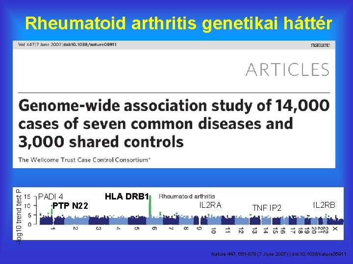 -log 10 trend test P Rheumatoid arthritis genetikai háttér PADI 4 PTP N 22