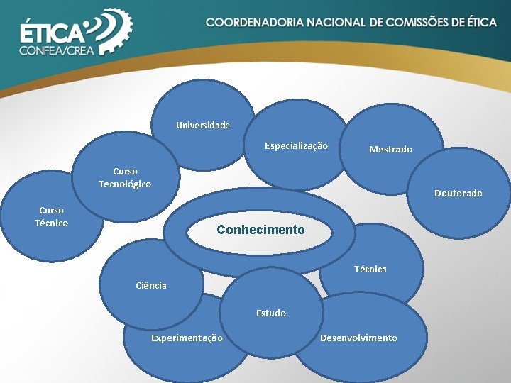 Universidade Especialização Mestrado Curso Tecnológico Curso Técnico Doutorado Conhecimento Técnica Ciência Estudo Experimentação Desenvolvimento