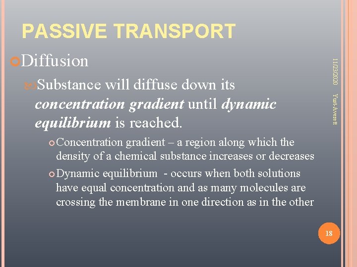 PASSIVE TRANSPORT Substance Yust-Averett will diffuse down its concentration gradient until dynamic equilibrium is