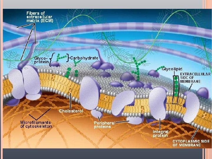 11/23/2020 Yust-Averett 3 