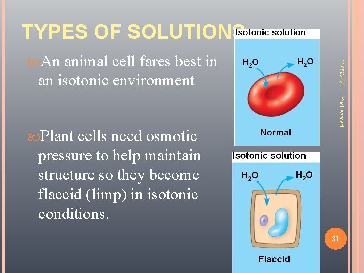 TYPES OF SOLUTIONS animal cell fares best in an isotonic environment cells need osmotic