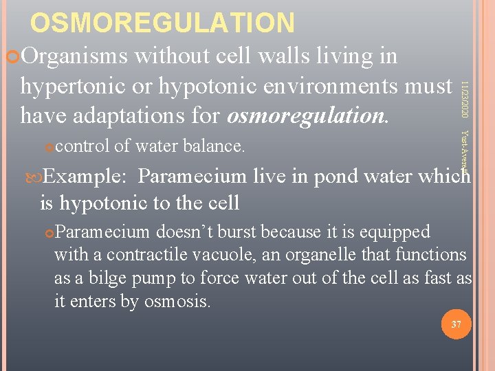 OSMOREGULATION Organisms control of water balance. Example: Yust-Averett 11/23/2020 without cell walls living in
