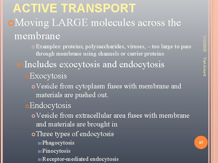 ACTIVE TRANSPORT Moving Examples: proteins, polysaccharides, viruses, – too large to pass through membrane