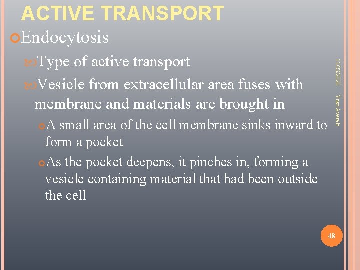 ACTIVE TRANSPORT Endocytosis A small area of the cell membrane sinks inward to form