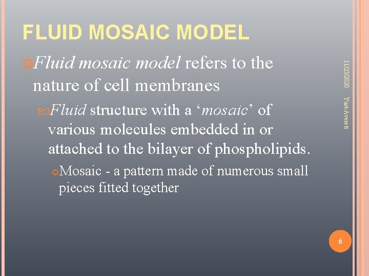 FLUID MOSAIC MODEL mosaic model refers to the nature of cell membranes 11/23/2020 Fluid