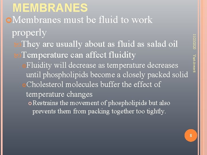 MEMBRANES Membranes must be fluid to work salad oil Yust-Averett They are usually about