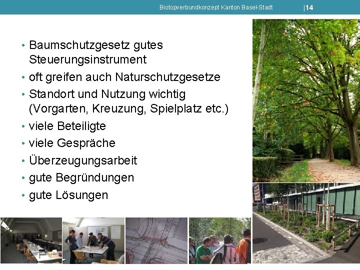 Biotopverbundkonzept Kanton Basel-Stadt • Baumschutzgesetz gutes Steuerungsinstrument • oft greifen auch Naturschutzgesetze • Standort