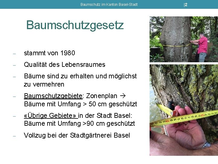 Baumschutz im Kanton Basel-Stadt Baumschutzgesetz - stammt von 1980 - Qualität des Lebensraumes -