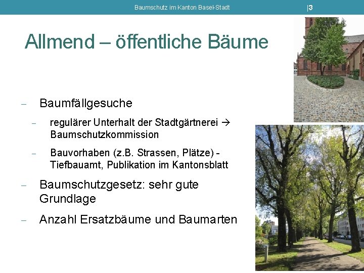 Baumschutz im Kanton Basel-Stadt Allmend – öffentliche Bäume Baumfällgesuche - regulärer Unterhalt der Stadtgärtnerei