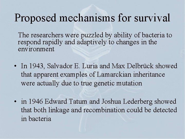 Proposed mechanisms for survival The researchers were puzzled by ability of bacteria to respond