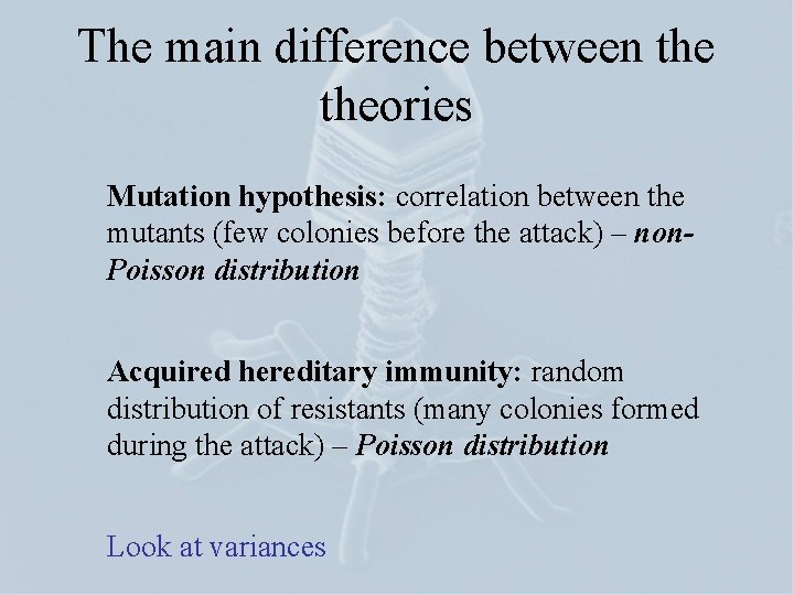 The main difference between theories Mutation hypothesis: correlation between the mutants (few colonies before