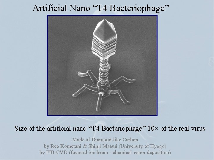 Artificial Nano “T 4 Bacteriophage” Size of the artificial nano “T 4 Bacteriophage” 10×